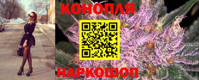 таблы Ачхой-Мартан