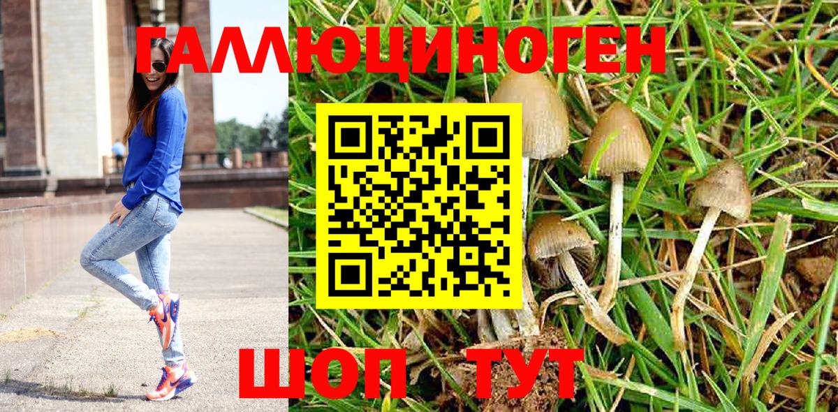 Галлюциногенные грибы мухоморы  Галлюциногенные грибы прущие грибы  Белая Калитва  Вход с VPN 